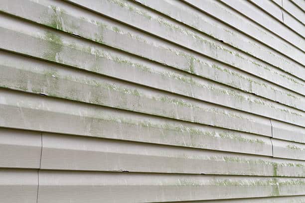 Dirty House siding